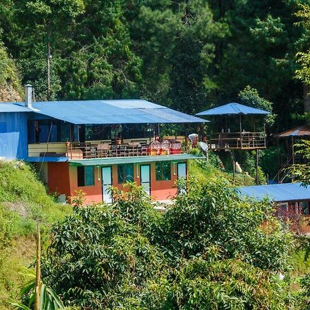 Jungle Crown Organic Homestay Нагаркот Экстерьер фото