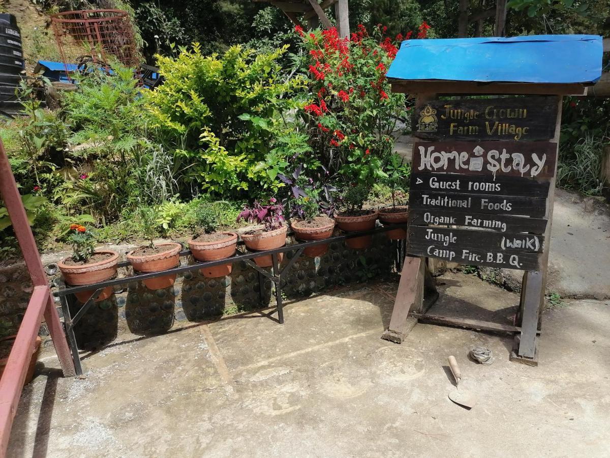 Jungle Crown Organic Homestay Нагаркот Экстерьер фото