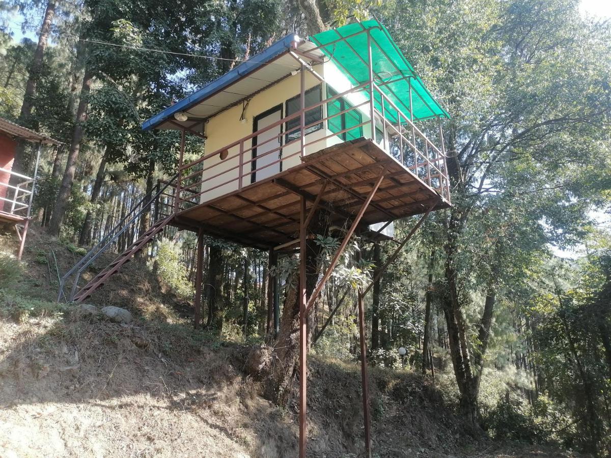 Jungle Crown Organic Homestay Нагаркот Экстерьер фото