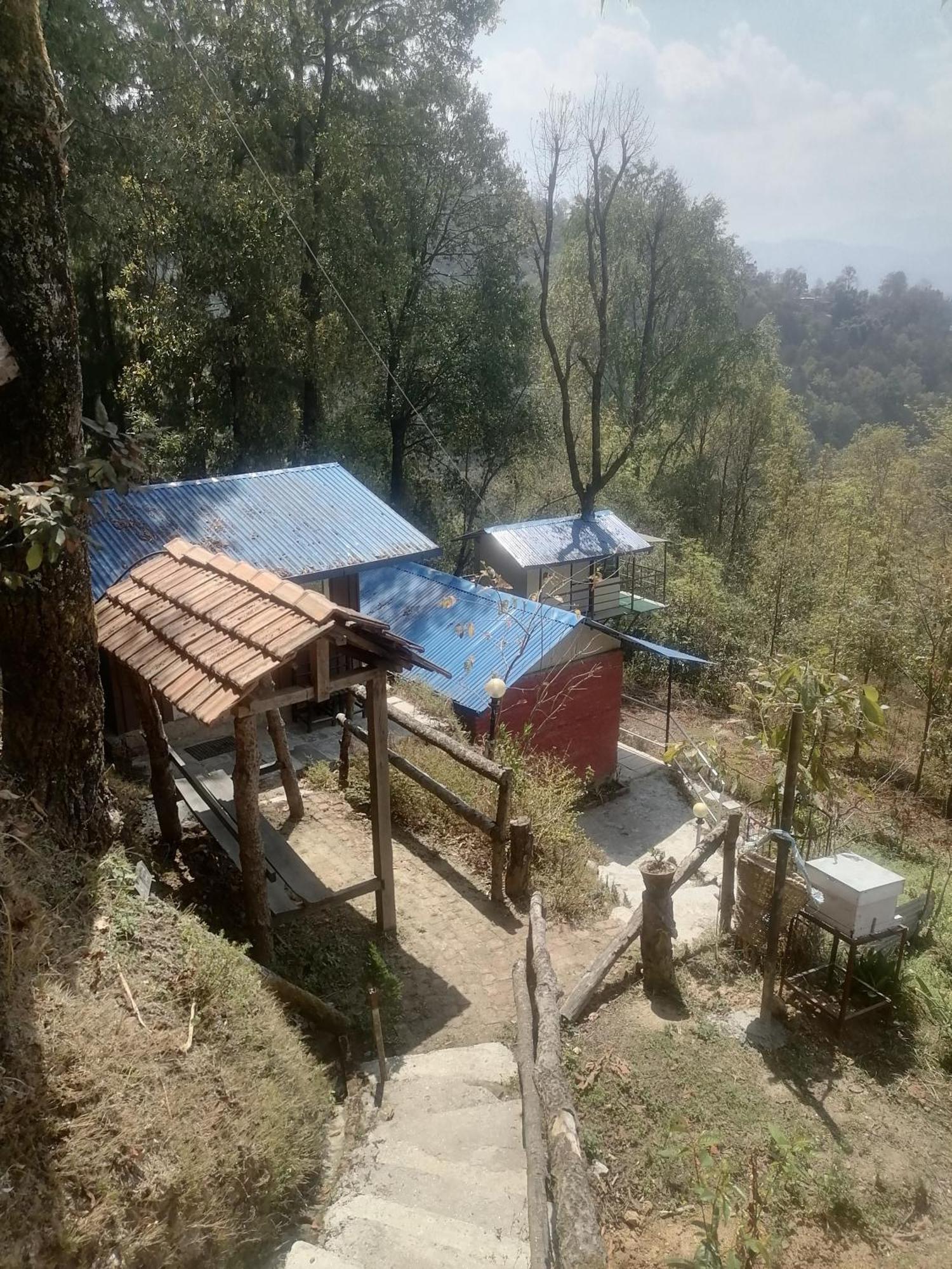 Jungle Crown Organic Homestay Нагаркот Экстерьер фото