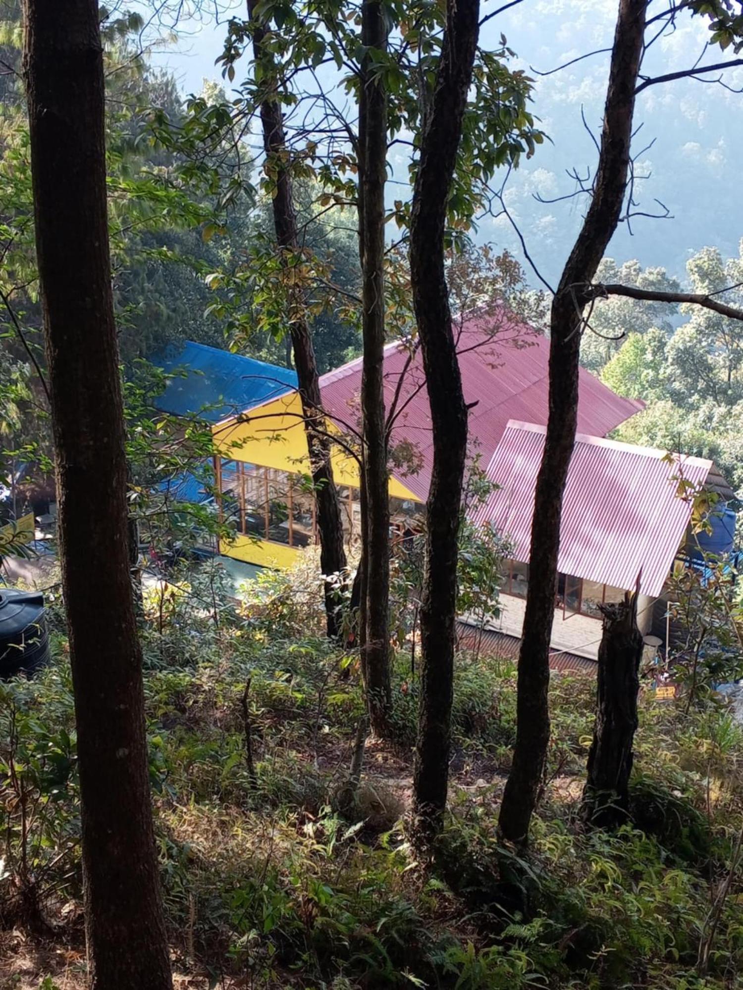 Jungle Crown Organic Homestay Нагаркот Экстерьер фото