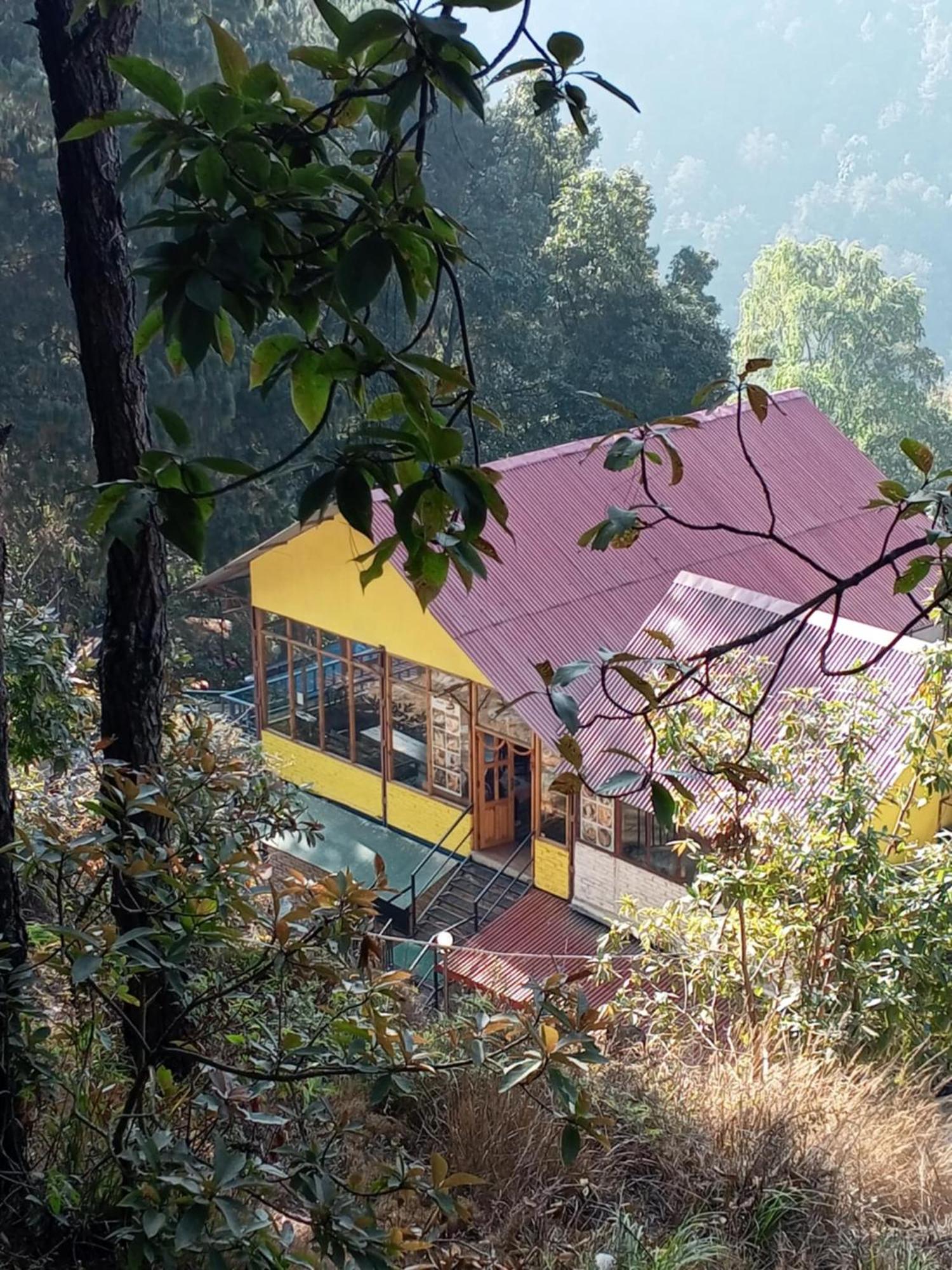 Jungle Crown Organic Homestay Нагаркот Экстерьер фото