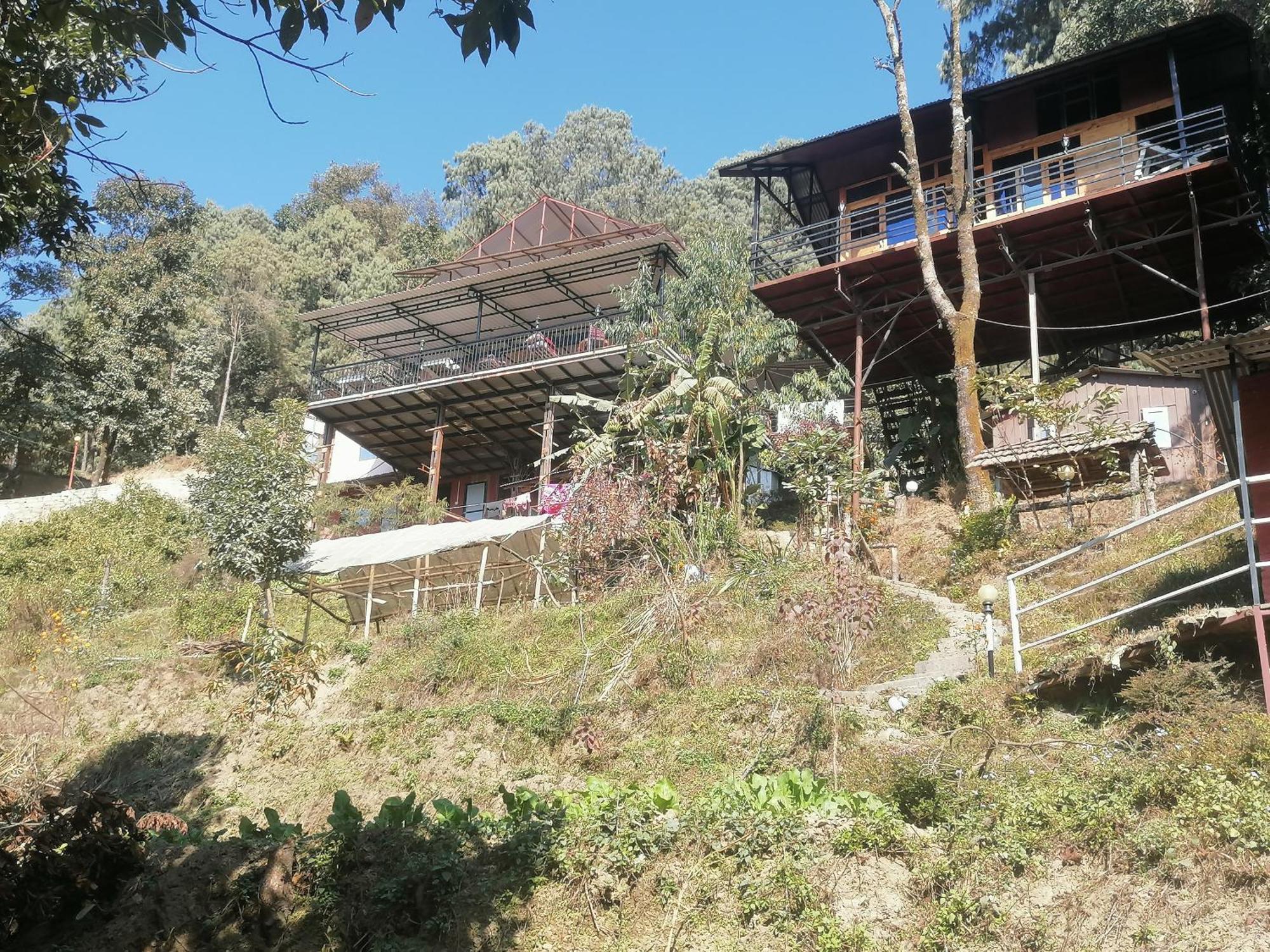 Jungle Crown Organic Homestay Нагаркот Номер фото