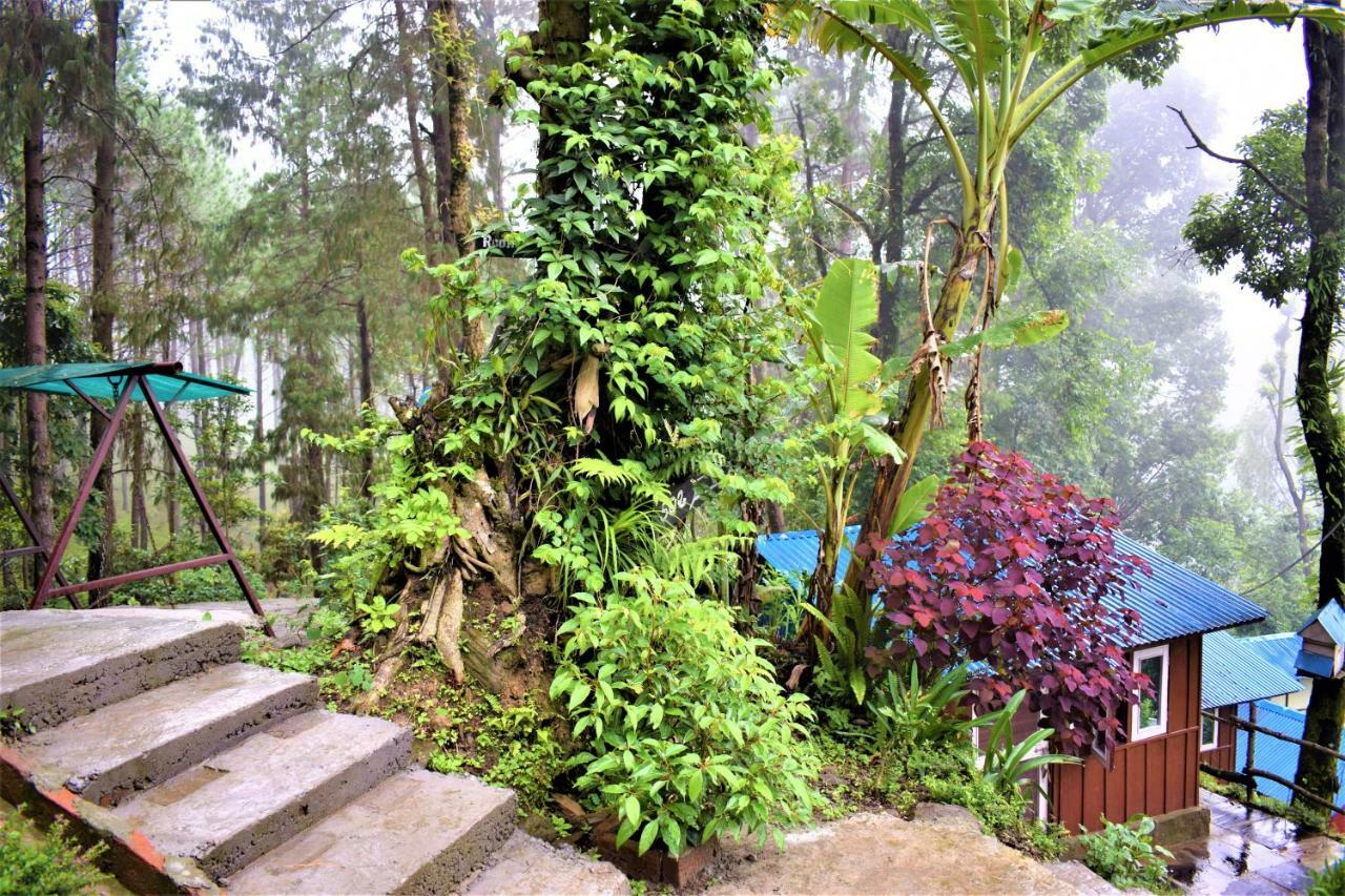 Jungle Crown Organic Homestay Нагаркот Экстерьер фото