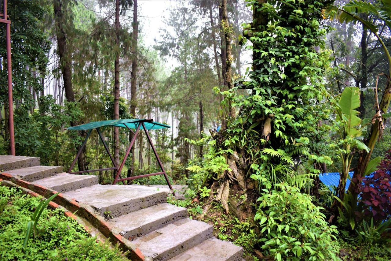 Jungle Crown Organic Homestay Нагаркот Экстерьер фото