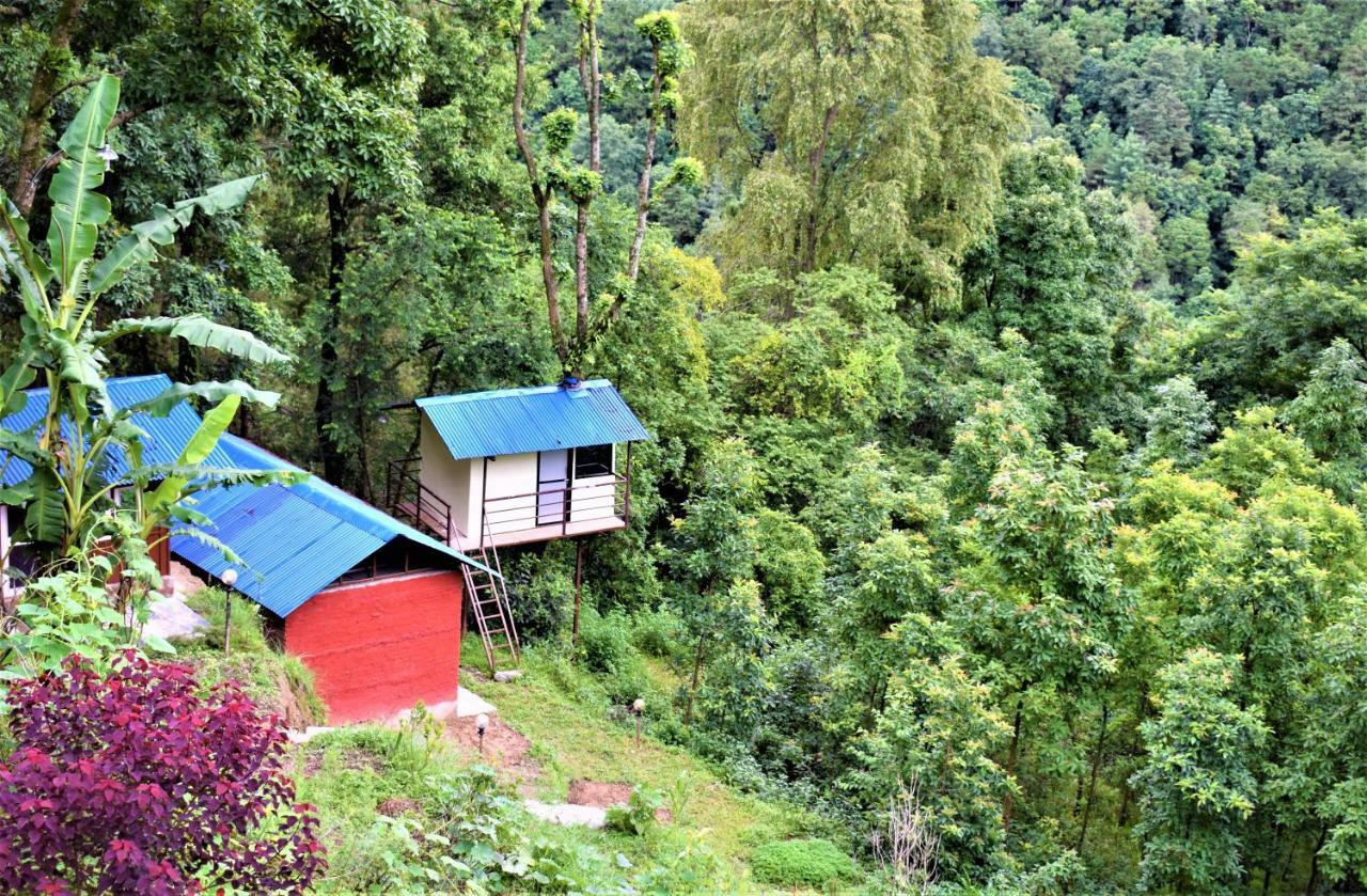 Jungle Crown Organic Homestay Нагаркот Экстерьер фото