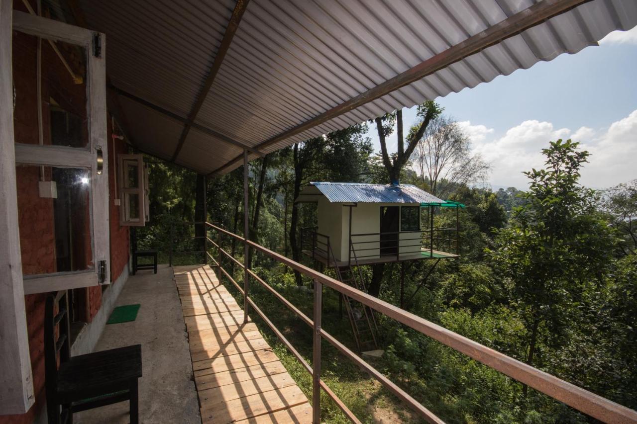 Jungle Crown Organic Homestay Нагаркот Экстерьер фото