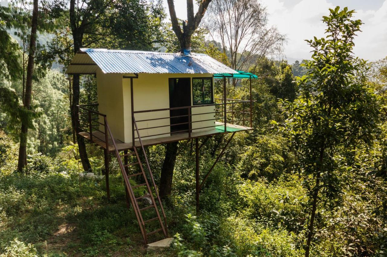 Jungle Crown Organic Homestay Нагаркот Экстерьер фото