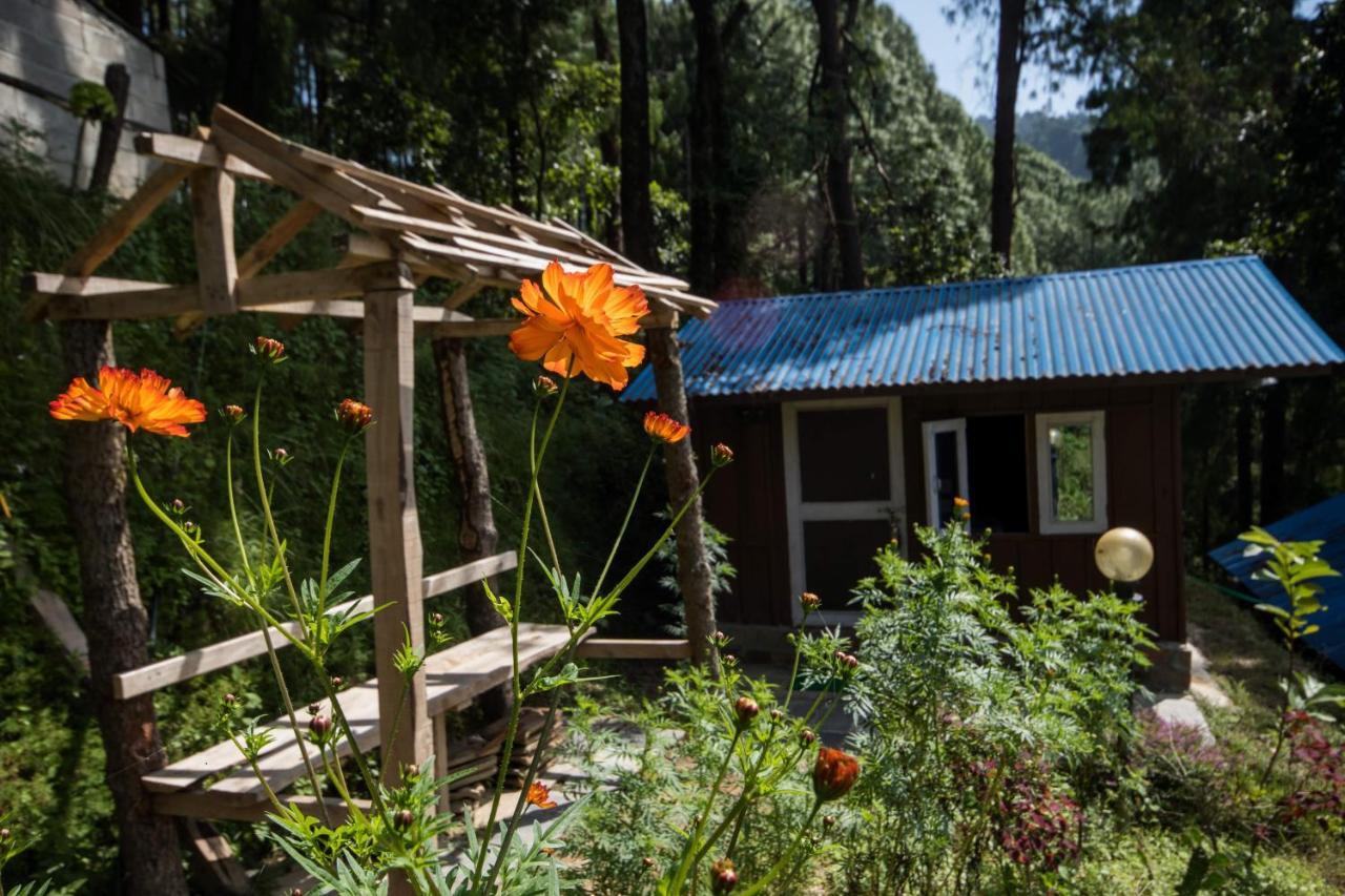 Jungle Crown Organic Homestay Нагаркот Экстерьер фото