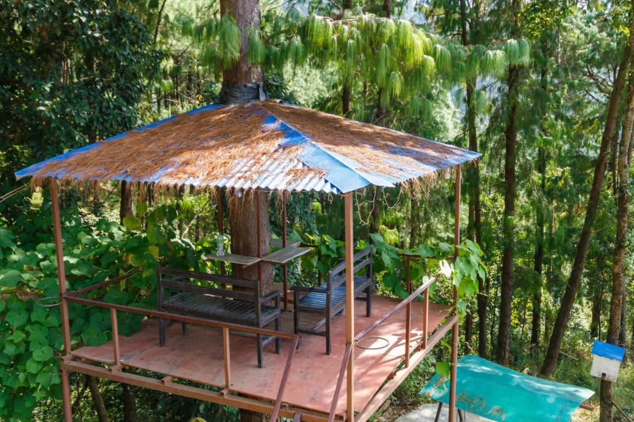 Jungle Crown Organic Homestay Нагаркот Экстерьер фото