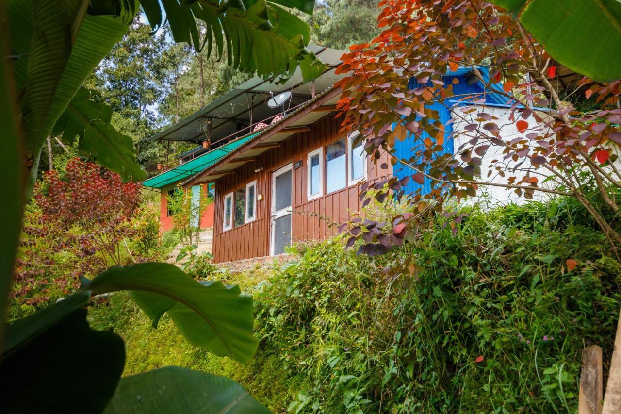 Jungle Crown Organic Homestay Нагаркот Экстерьер фото